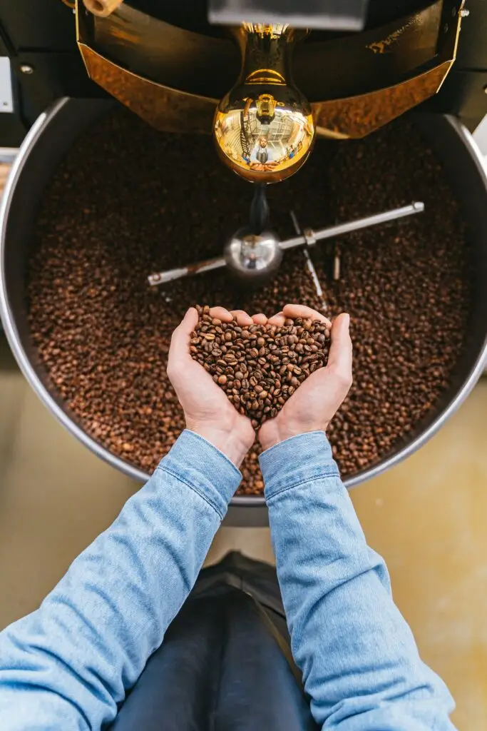 Close-up of hands holding coffee beans over roaster, emphasizing quality and craftsmanship.