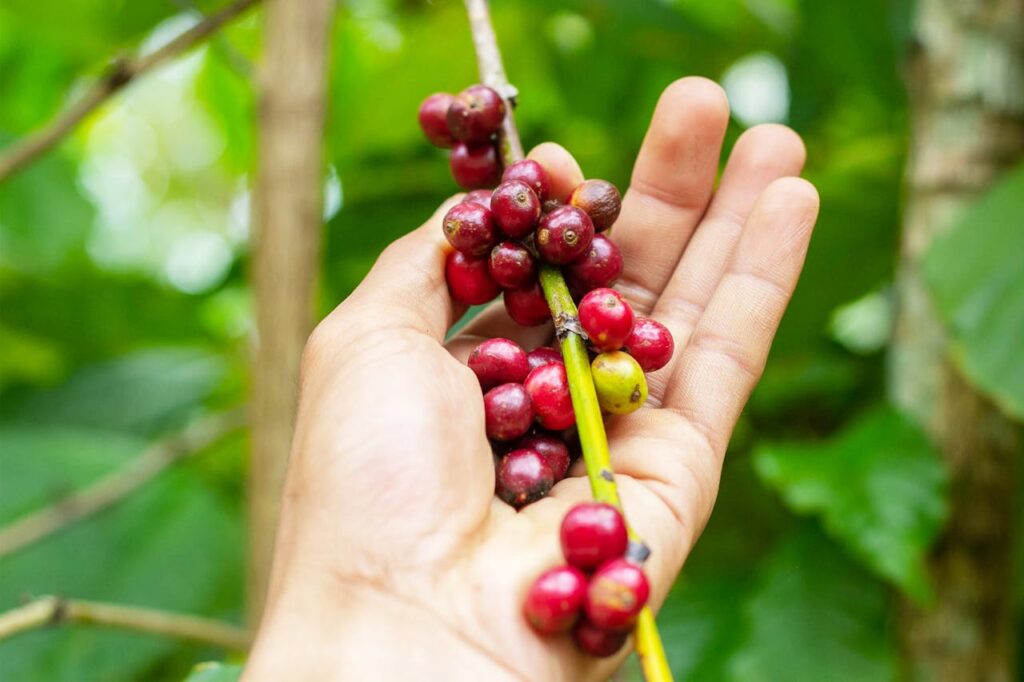 pexels photo 7791301 2.jpeg